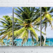 Модульна картина на полотні Пальми на пляжі код КМ100180-025 фото