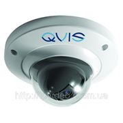 Qvis APOIP-MD1.3 фото
