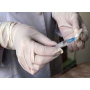 Вакцинация(прививки животным) фото