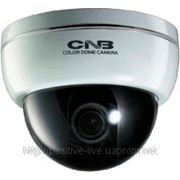 Видеокамера купольная цветная CNB-DBM21VF фото