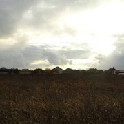 Участок Юровка 9.5 соток. Киево-Святошинский район. Купить участок. Риелтор: Андрей фото