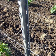 Проволока оцинкованная для виноградников высокой прочности в Молдове фото