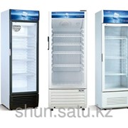 Холодильный шкаф Xingx 269L