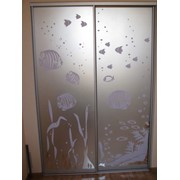 Двери стеклянные для шкафа с рисунком