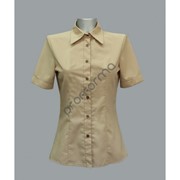 Блуза классическая с коротким рукавом фото