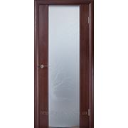 Двери Глазго Хмельницкий фото