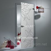 Стеклянная дверь межкомнатная модель «Фламенко» цена 6600 грн