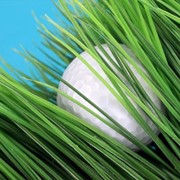 Искусственный газон для гольфа фото