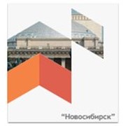 Бaзa opгaнизaций пo Нoвocибиpcку фото