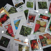 Профессиональные семена овощей и цветов от ведущих изготовителей (Нунемс, Сименис, Тиеза, Мэй и др.) фото