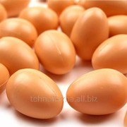 Яйцо подкладное куриное фото