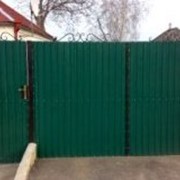 Ворота и калитки из профнастила(Киев, Киевская область) фото