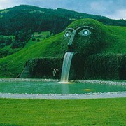 Оформление водоемов растениями фото