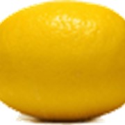 Лимон (LIMON) фото