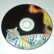 Печать на CD, DVD фото
