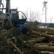 Изготовление оборудования для лесного хозяйства фото