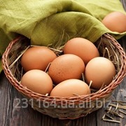 Яйце дієтичне фото