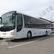 Пригородный автобус MAN Lion's Regio R12