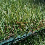 Искусственная трава Фрида фото