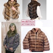 Куртки из меха баргузинского соболя фото
