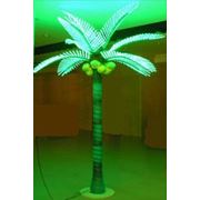 Светящаяся световая Пальма 360 см зеленая