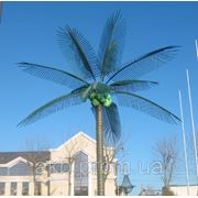 Светодиодная Пальма 5 м зеленая фото
