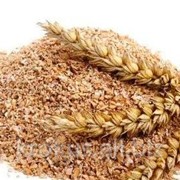 Отруби пшеничные хлебопекарные фотография