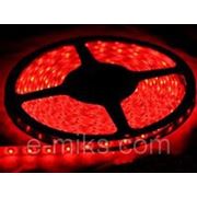 Светодиодная лента 5м Red (красная) 300 диодов фото