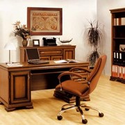 Мебель для домашнего кабинета фото
