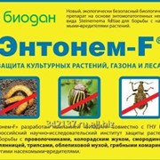 Энтонем-F биопрепарат от медведки,проволочника, колорадского жука и др., на 1 сотку, Биодан фотография
