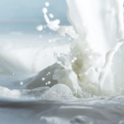 Ароматизатор жидкий для молочной продукции Молоко-ваниль 647 фото
