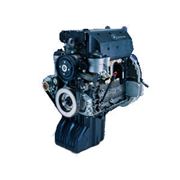 Ремонт двигателя грузового автомобиля MAN Mercedes (Ман Мерседес) капитальный ремонт двигателя фото