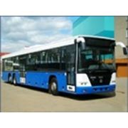 Автобус особо большого класса для междугородних перевозок ГолАЗ-6228.10
