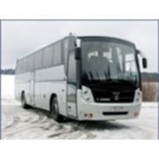 Автобус большого класса для междугородних и туристических перевозок ГолАЗ-5291 Круиз фотография