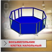 Ринг напольный восьмиугольный для боев без правил, ⌀ 7 м (Россия) фото