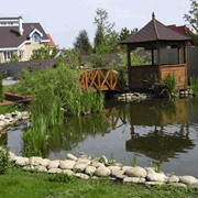 Дизайн, озеленение, благоустройство; обслуживание; создание систем полива фото