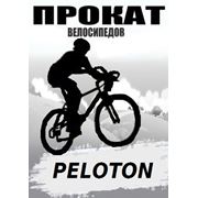 Прокат аренда специальных велосипедов фото