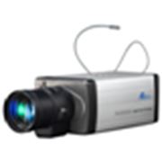 IP видеокамера цветная фото