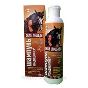 Шампунь-кондиционер Сила лошади для укрепления волос 250мл /ЛекоПро/ фото