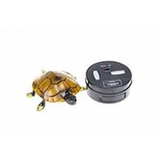 Радиоуправляемая черепаха ИК-управление - 9993 фото