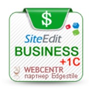 CMS SiteEdit Business (лицензия на 1 год) фото