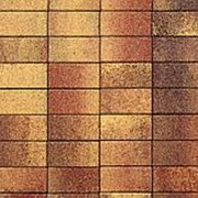 Тротуарная плитка Порше-Дизайн коллекция Листопад, 1Р.6 фото