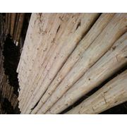 Бревна сосновые купить в Казахстане столбы из сосны в Казахстане сосновые столбы в Казахстане