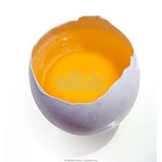 Яйцо столовое С-1 (Белое) фото