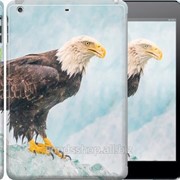 Чехол на iPad 5 Air Орел 3070c-26 фотография