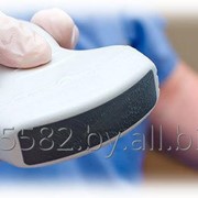 УЗИ взрослым и детям в Минске фото