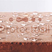 Гидрофобизатор -концентрат Protectosil ® WS 808 фото