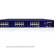 Коммутатор 24-х портовый Gigabit Ethernet Web Smart TEG1224T