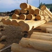 Сушка древесины в Молдове фото