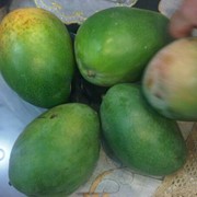 Продам манго из Египта фотография
